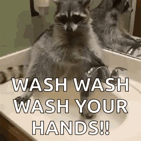 germaphobe gif|what is a germaphobe definition.